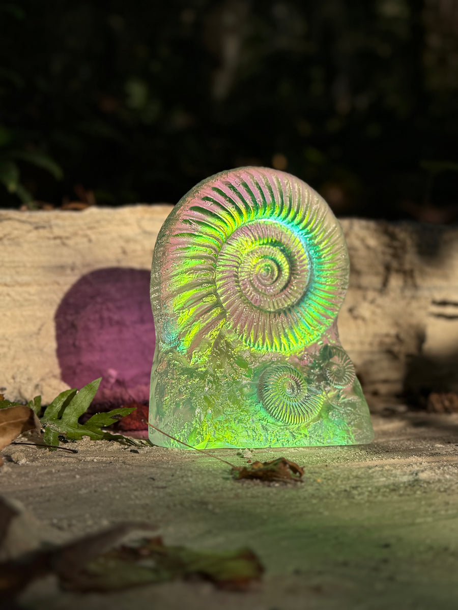 Jeremy Sinkus Aural Ammonite Sculpture – Grateful Glass Gallery Jeremy Sinkus Aural Ammonite Sculpture – Grateful Glass Gallery