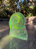 Jeremy Sinkus Aural Ammonite Sculpture
