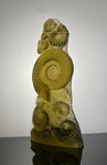 “Ancient Ammonite” in Olivine