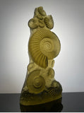 “Ancient Ammonite” in Olivine